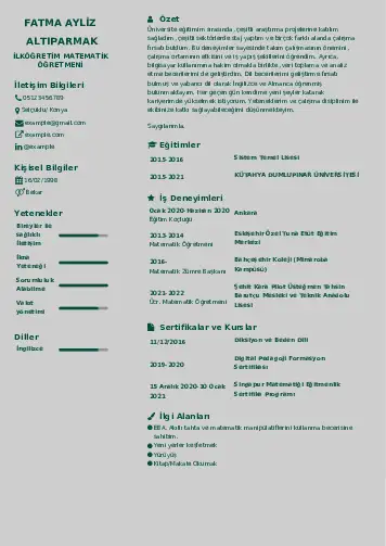 Matematik Öğretmeni Cv Örnekleri cv indir